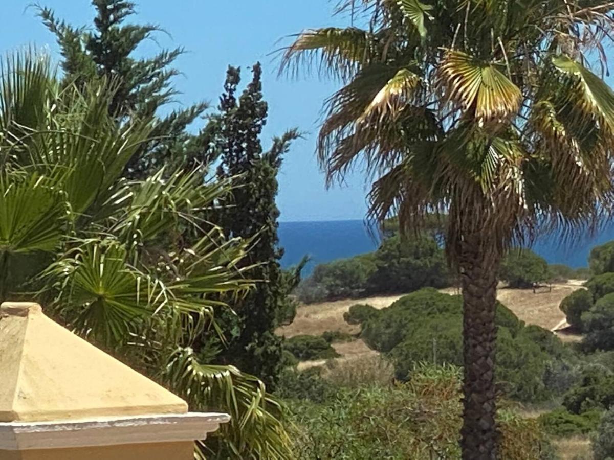 Villa "Oasis"- C Albufeira Exterior foto